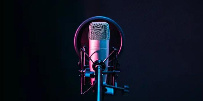 التعليق الصوتي – Voice Over